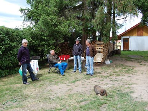 Foto 11